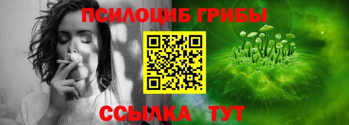 Псилоцибиновые грибы мухоморы  Вход с VPN  Псилоцибиновые грибы Magic Shrooms  Котлас 